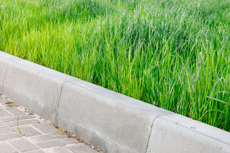 Concrete Curb Removal